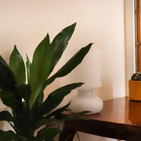 Apartment Spacious And Vintage - Modern *